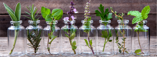 Aromatherapy to Treat Migraines