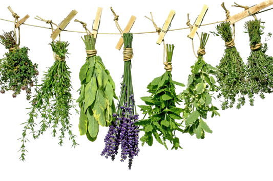 Must-Have Herbs to Kickstart Your Meals