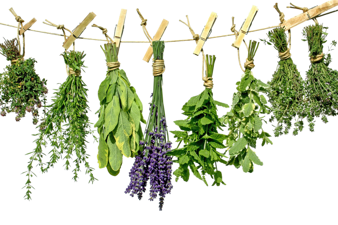 Must-Have Herbs to Kickstart Your Meals